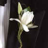 Boutonniere WS013-12.jpg (38451 bytes)