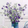 Floral Arrangements WS020-22.jpg (77961 bytes)